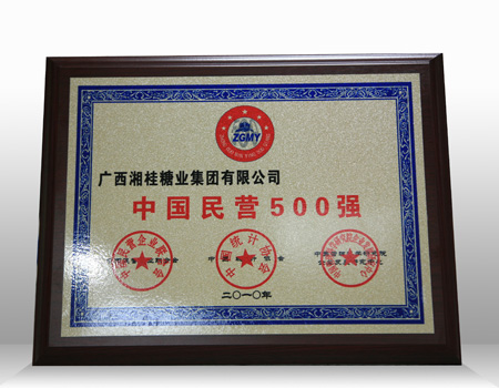 中國民營企業(yè)500強(qiáng)獎(jiǎng)牌